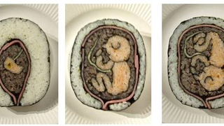 Scientific Sushi Art Is The Best Sushi Art